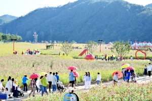대한민국 최고의 힐링 명소 ‘산소카페 청송정원’ 무료 개방