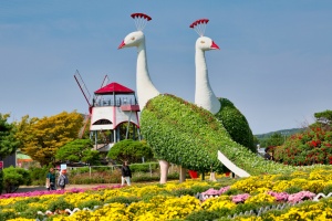 ‘2025 태안 가을꽃박람회’ 19일 남면 네이처월드서 개막! 