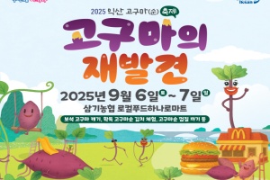 고구마의 재발견, 익산 고구마(순) 축제, 6~7일 개최