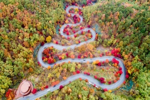 가을빛 물든 길 따라, 단양 ‘온달평강로맨스길’ 활기