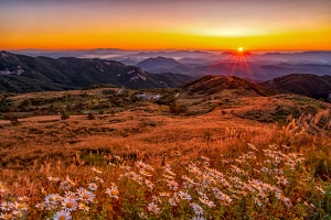 합천군, 은빛 억새의 물결, 제4회 황매산 억새축제, 10월 18일 개막 