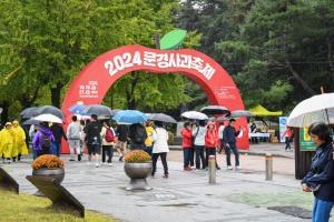감홍사과 맛보러 오세요. 문경사과축제 18~26일 개최 
