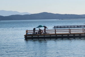 가을빛에 물든 강진 가우도, 향락철 관광객 ‘북적’ 