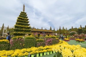 익산 천만송이 국화축제, 더 화려하게 돌아온다. 24일 개막