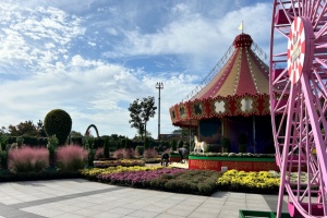 함평군, 2025 대한민국 국향대전 14일 팡파르~~ 