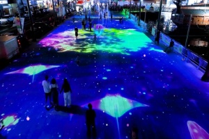 통영 강구안, 화려한 빛으로 야간관광 새 지평 열다