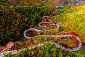 ‘가을빛으로 물든 단풍길’ 단양 보발재, 단풍 절정!