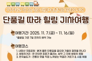  정읍시, ‘내장산 단풍 + 농촌체험’ 농뚜레일 기차여행 11월 7일 개시