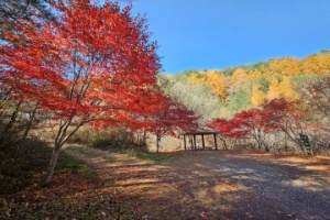 봉화 석포면의 숨겨진 보석같은 관광 명소 7선 