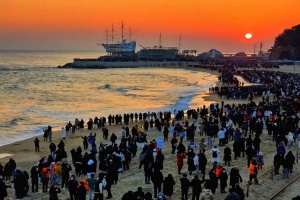 강릉시, 멈추지 않은 시간의 울림, 2026년 시작은 ‘강릉 정동진’에서