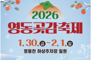 영동의 달콤한 겨울, 영동곶감축제 30일 개막 