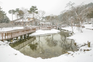 광양시, 백운산자연휴양림 겨울 웰니스 관광지로 추천