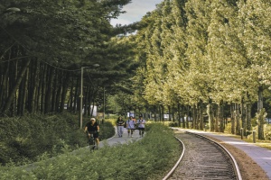 노원구, <경춘선 숲길> 광운대역세권까지 연장