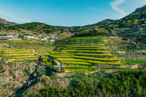 남해 가천 다랭이마을·남해바래길 27개 코스, ‘로컬100’선정