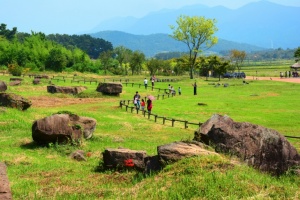 고창군, ‘제2기 로컬100’ 3개 문화자원(청보리밭축제·선운사·고인돌유적) 선정