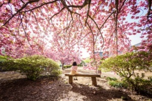 전남도, 3월부터 ‘남도한바퀴’ 봄 여행코스 출시