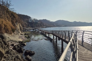 포항시, 봄 바다 더 가까이 … 포항 호미반도 해안둘레길 새단장