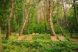 합천 오도산 치유의 숲, ‘2026 우수웰니스 관광지’재지정