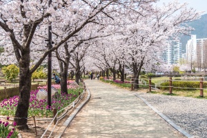 김해에서 봄을 제대로 느낄 수 있는 산책길 명소 