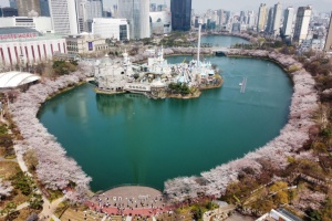 송파구, 9일간 펼쳐지는 벚꽃이야기 '호수벚꽃축제’ 개최