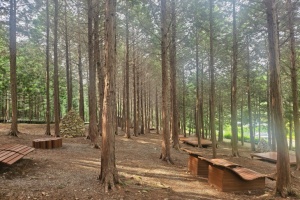 고흥군, ‘지붕 없는 미술관’ 고흥으로 떠나는 봄맞이 3색 트레킹