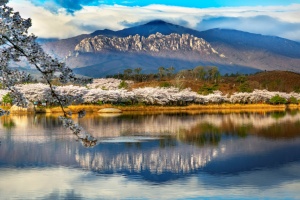 강원도, 「4월 지질·생태명소」  속초 <영랑호> 선정
