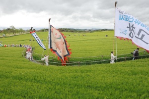 봄의 기억, 길 위에 남다 ‘제23회 고창청보리밭축제’, 18일(토) 개막