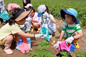 괴산군, “감자에 반하고, 감물에 물들다” 감물감자축제 개최