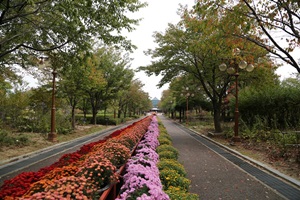 봄 마중하는 꽃과 나무 보러 가요, 강원도립화목원