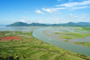 신비한 자연 생태계의 보고, 순천만습지
