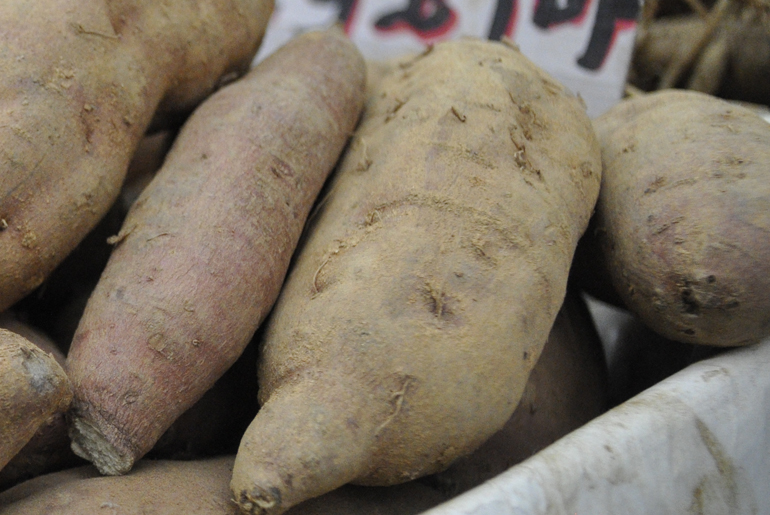 고구마,지역특산	물,국내여행