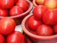 짭짤이토마토 아세요?